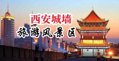 女bbbb屄尻小`穴中国陕西-西安城墙旅游风景区