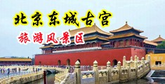 胖女呻吟中国北京-东城古宫旅游风景区